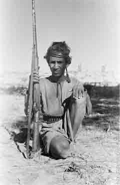 ���� ����� ��� ��� ����