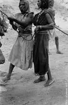 ���� ������ ��� ��� ����