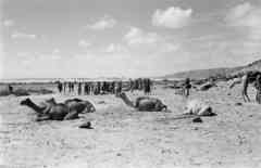 ���� ������ ��� ��� ����