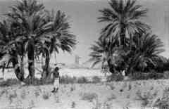 ���� ������ ��� ��� ����