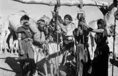 ���� ������ ��� ��� ����