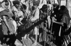 ���� ������ ��� ��� ����