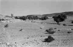 ���� ������ ��� ��� ����