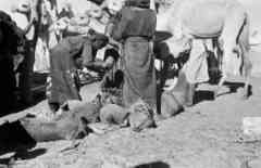 ���� ������ ��� ��� ����