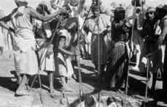 ���� ������ ��� ��� ����