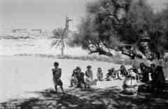 ���� ������ ��� ��� ����