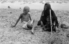 ���� ������ ��� ��� ����