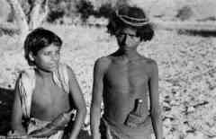 ���� ������ ��� ��� ����