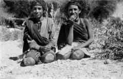 ���� ������ ��� ��� ����