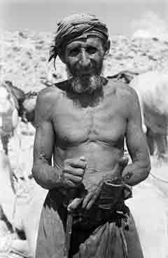 ���� ������ ��� ��� ����