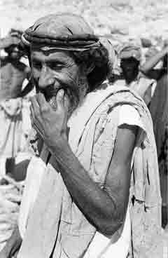 ���� ������ ��� ��� ����