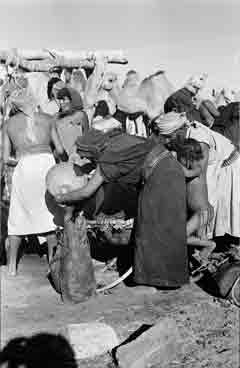 ���� ������ ��� ��� ����