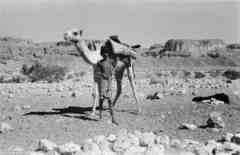 ���� ������ ��� ��� ����