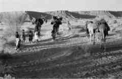 ���� ������ ��� ��� ����