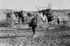 ���� ������ ��� ��� ����