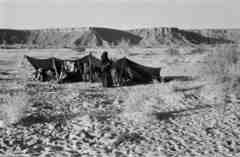 ���� ������ ��� ��� ����