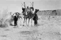 ���� ������ ��� ��� ����