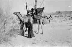 ���� ������ ��� ��� ����