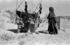 ���� ������ ��� ��� ����