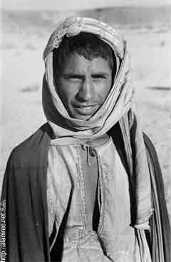 ���� ������ ��� ��� ����