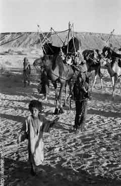 ���� ������ ��� ��� ����