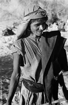 ���� ������ ��� ��� ����