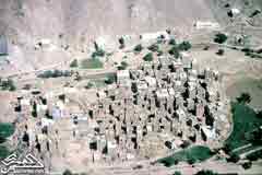 ���� �� ���� ����� ������ �� ��������