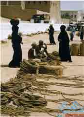 ������ ��� 1955 ��� �����