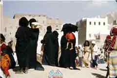 ������ ��� ��� 1964