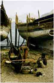 ����� ������ ��� 1956