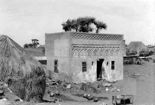 ������� ���� ���� ���� ��� 1954-1955� ����� �������� ���� ���� ���  ����