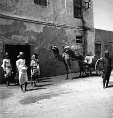 ���� ������ ��� ��� ����