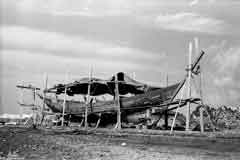 ���� ������ ��� ��� ����