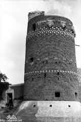 ���� ������ ��� ��� ����