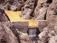 ���� ������ ��� ��� ���� ������