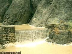 ���� ������ ��� ��� ���� ������