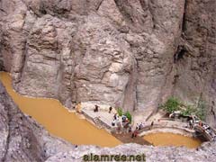 ���� ������ ��� ��� ���� ������