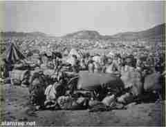 ���� ������ ��� ��� ����