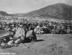 ���� ������ ��� ��� ����