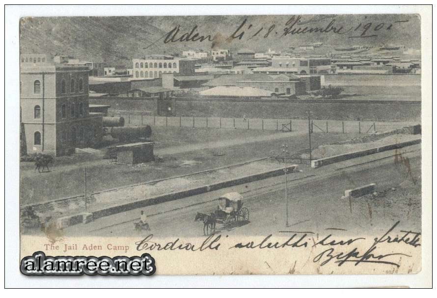 ���� ����� ������