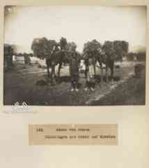 ���� ������ ��� ��� ����