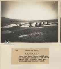 ���� ������ ��� ��� ����