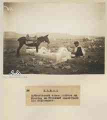 ���� ������ ��� ��� ����