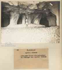 ���� ������ ��� ��� ����