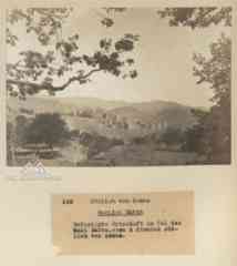 ���� ������ ��� ��� ����