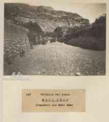 ���� ������ ��� ��� ����