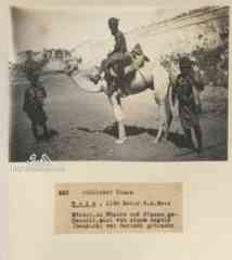 ���� ������ ��� ��� ����