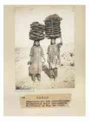 ���� ������ ��� ��� ����