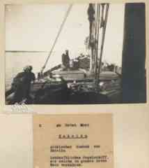 ���� ������ ��� ��� ����