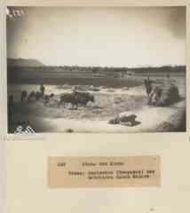 ���� ������ ��� ��� ����